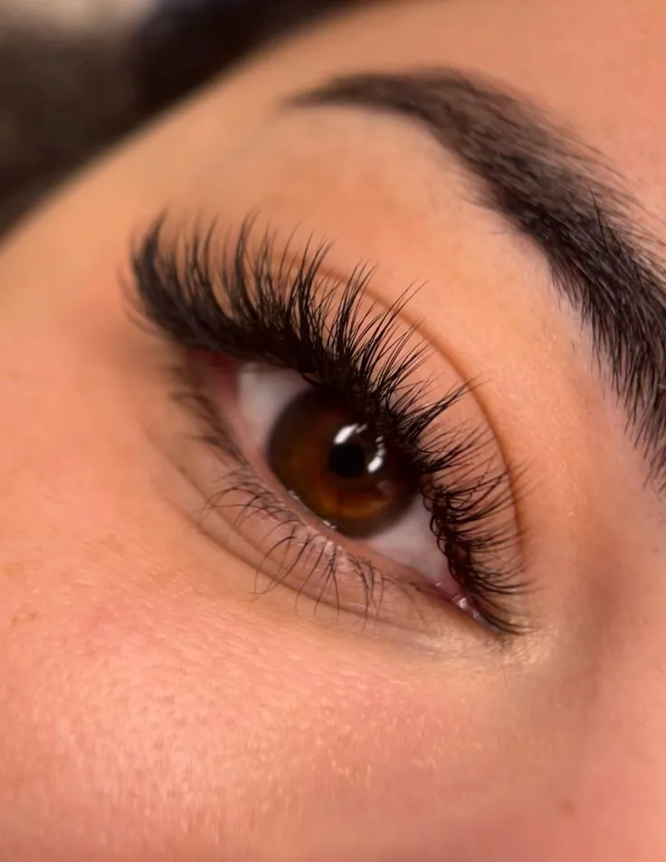 Eyelash Extension Premium