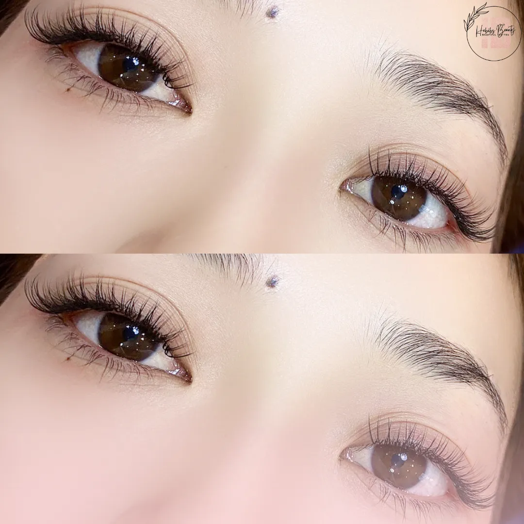 Eyelash Extension 2