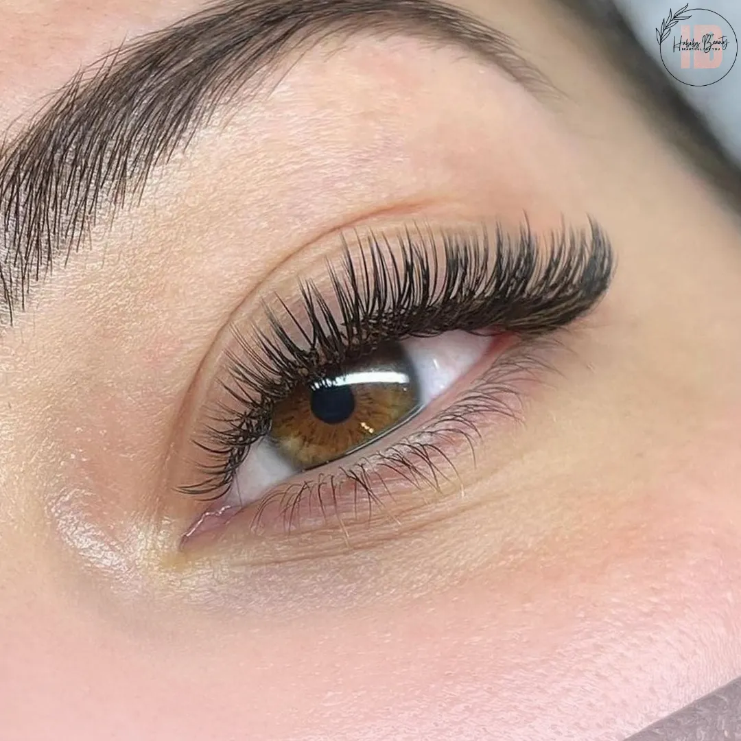 Eyelash Extension 8