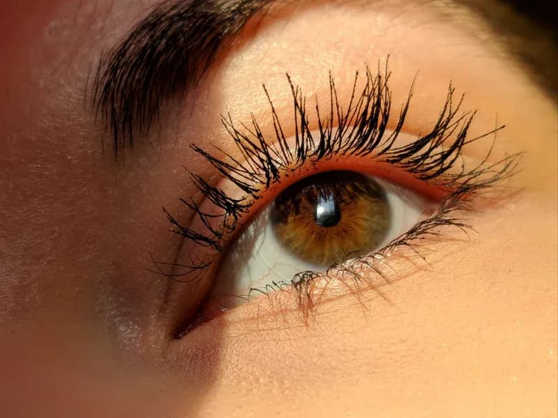 Lash Lift